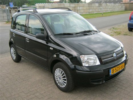 Fiat Panda - 1.2 Dynamic - 1