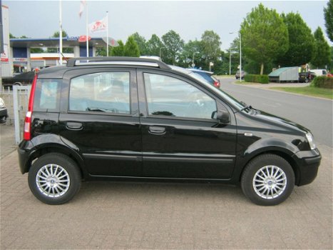 Fiat Panda - 1.2 Dynamic - 1