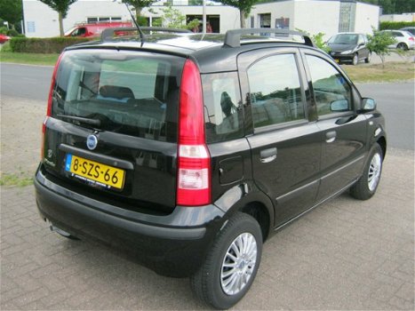 Fiat Panda - 1.2 Dynamic - 1