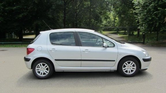 Peugeot 307 - 1.4 XS - 1