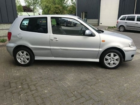 Volkswagen Polo - 1.4-16V Highline| Full optie | Leder | Mistlampen | LMV - 1