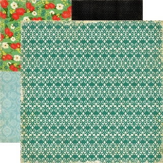 SALE NIEUW SET 8 vel dubbelzijdig scrapbook papier For The Record van Echo Park. - 7