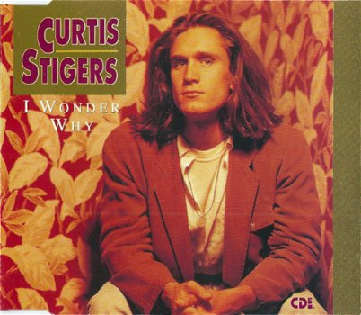 Curtis Stigers ‎– I Wonder Why 3 Track CDSingle - 1