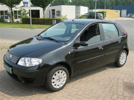 Fiat Punto - 1.2 Classic Edizione Cool - 1