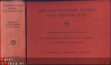 HEIMANS+HEINSIUS+THIJSSE*1956*GEÏLLUSTREERDE FLORA NEDERLAND - 1