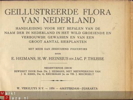 HEIMANS+HEINSIUS+THIJSSE*1956*GEÏLLUSTREERDE FLORA NEDERLAND - 2