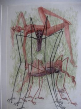 Surrealisme - 2 naakten met reuze insekten - Dieter Muchow - 2