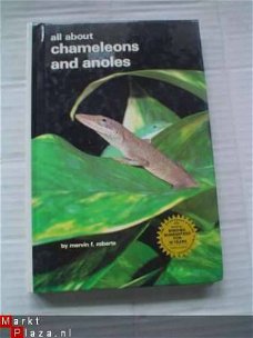 All about chameleons and anoles by M.F. Roberts