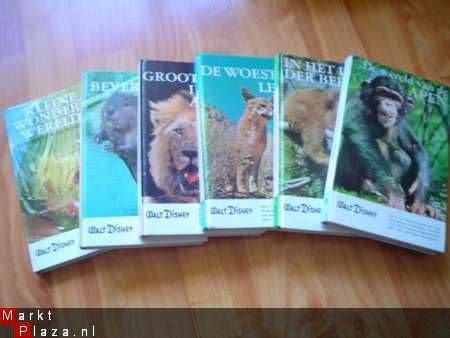 reeks Disney dierenboeken - 1