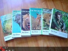 reeks Disney dierenboeken
