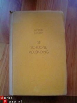 De schoone voleinding door Antoon Coolen - 1