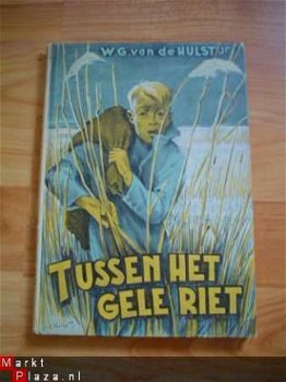 Tussen het gele riet door W.G. van de Hulst jr - 1