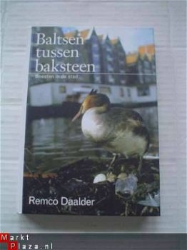 Baltsen tussen bakstenen door R. Daalder - 1