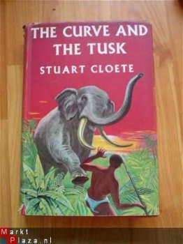 The curve and the tusk by Stuart Cloete - 1