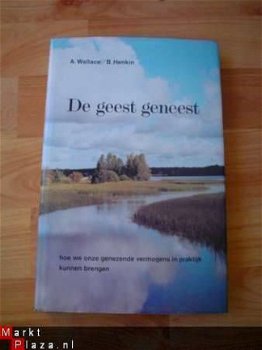 De geest geneest door Wallace en Henkin - 1