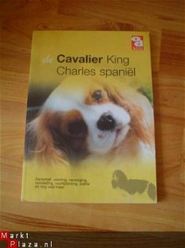 De Cavalier King Charles spaniël - 1
