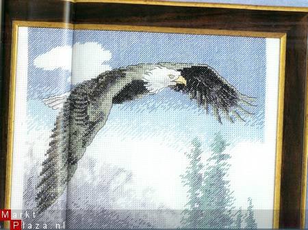 borduurpatroon 4804 eagle,schilderij+doosje - 1