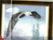 borduurpatroon 4804 eagle,schilderij+doosje - 1 - Thumbnail