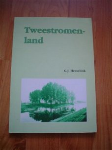 Tweestromenland door G.J. Hesselink