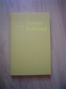 Promesse in drievoud door F. Boersma