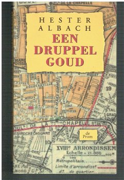 Een druppel goud door Hester Albach - 1