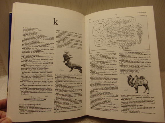 Geïllustreerd Nederlands woordenboek. - Afbeelding 2