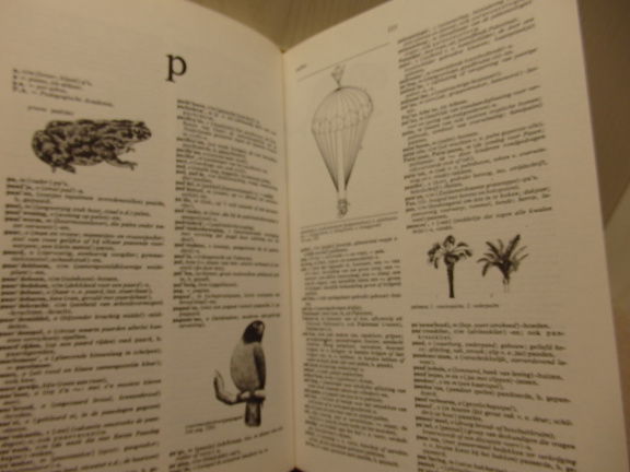 Geïllustreerd Nederlands woordenboek. - Afbeelding 4