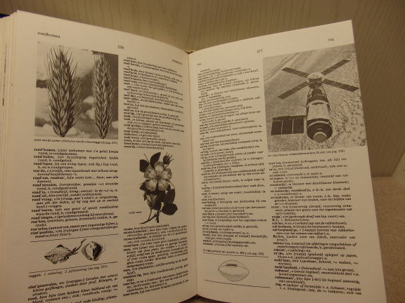 Geïllustreerd Nederlands woordenboek. - Afbeelding 5