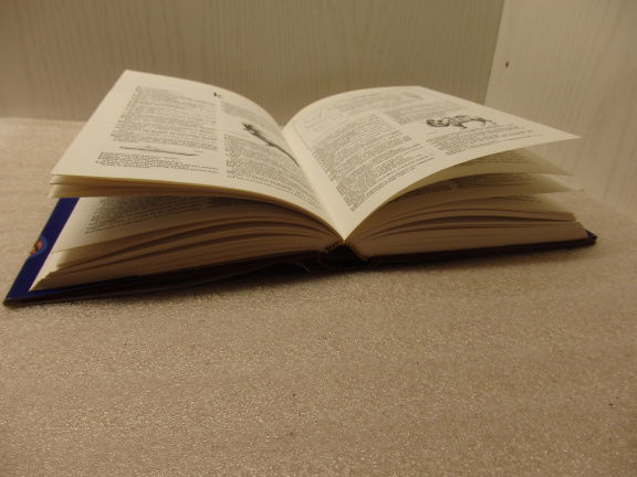 Geïllustreerd Nederlands woordenboek. - Afbeelding 7