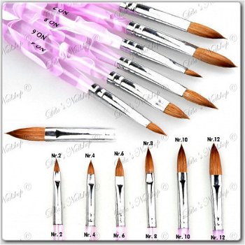 6 Delige Acryl penselen set Roze Wit - 2