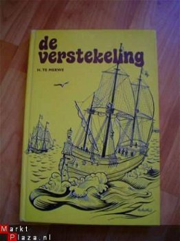 De verstekeling door H. te Merwe - 1