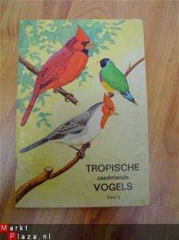 Tropische zaadetende vogels deel 2 - 1