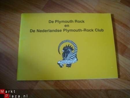 De Plymouth Rock en de Nederlandse Plymouth Rock Cub - 1