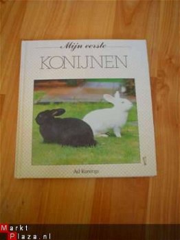 Mijn eerste konijnen door Ad Konings - 1