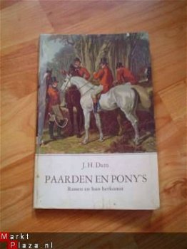 Paarden en pony's door J.H. Dam - 1