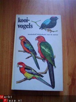 Kooivogels door Postma en Kleijn - 1