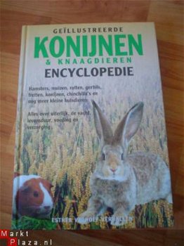 Geïllustreerde konijnen en knaagdieren encyclopedie - 1