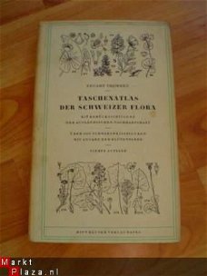 Taschenatlas der Schweizer Flora von E. Thommen