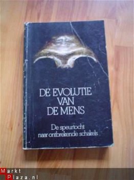 De evolutie van de mens door diverse antropologen - 1