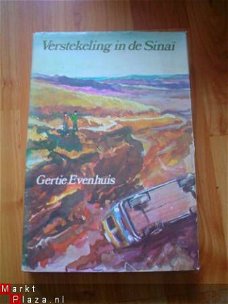 Verstekeling in de Sinaï door Gertie Evenhuis