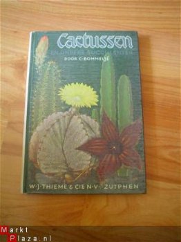 Cactussen en andere succulenten door C. Bommeljé - 1
