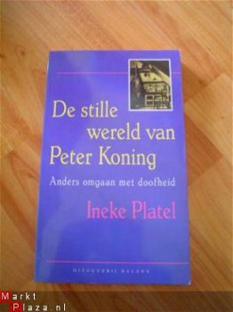 De stille wereld van Peter Koning door Ineke Platel - 1