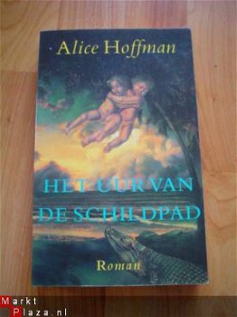 Het uur van de schildpad door Alice Hoffman - 1