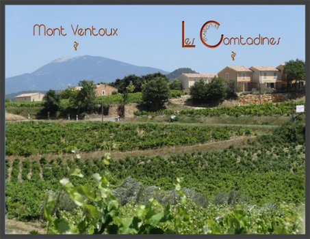 Provence - Omgeving Mont Ventoux - Gezellig vakantiehuis met prachtig uitzicht over de wijngaarden v - 8