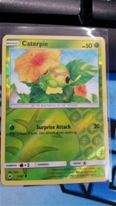 Caterpie  1/147 Common   (reverse)  sm burning shadows