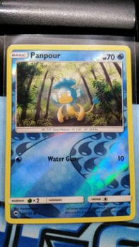 Panpour 36/147 Common (reverse) sm burning shadows - 1