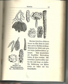 Fischwaid in Deutschen Binnengewässern - Anleitg. zur Sportfischerei (1927) - 6