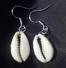 1001oorbellen kauri schelpen oorbellen erarrings shell geluksschelpen met goud of zilver afwerking