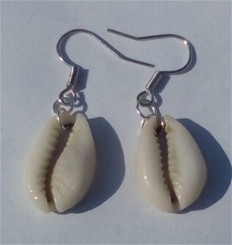 1001oorbellen kauri schelpen oorbellen erarrings shell geluksschelpen met goud of zilver afwerking - 2