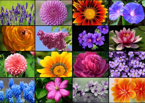 Grafika - Collage Spring Flowers - 1000 Stukjes Nieuw - 1